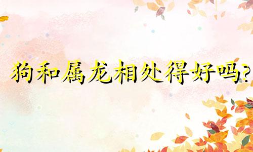 狗和属龙相处得好吗?