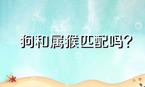 狗和属猴匹配吗?