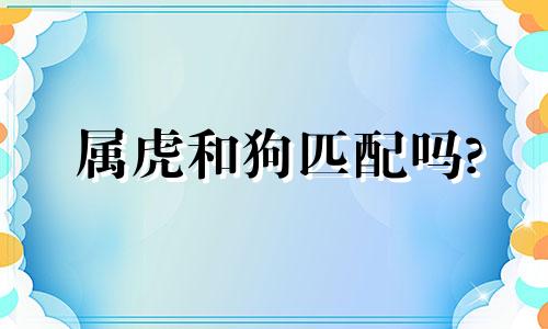 属虎和狗匹配吗?
