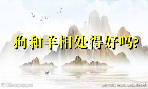 狗和羊相处得好吗?