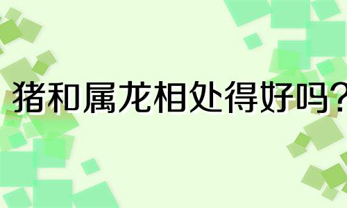 猪和属龙相处得好吗?