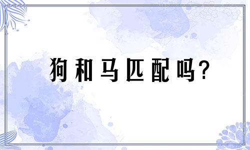 狗和马匹配吗?