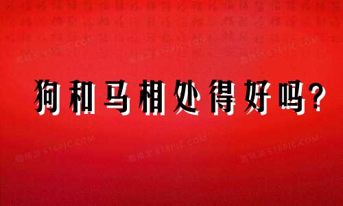 狗和马相处得好吗?