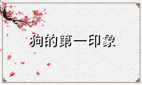 狗的第一印象