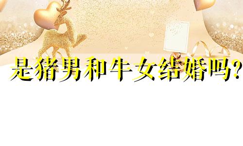 是猪男和牛女结婚吗?