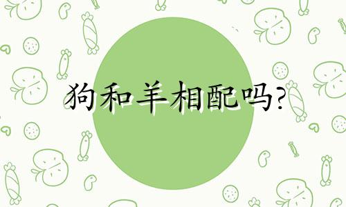 狗和羊相配吗?