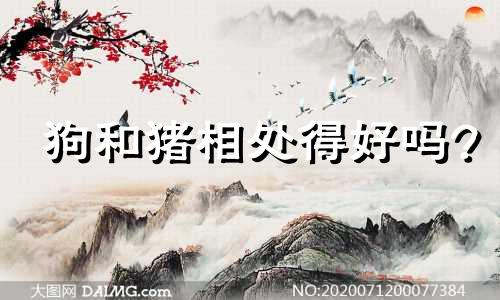 狗和猪相处得好吗?