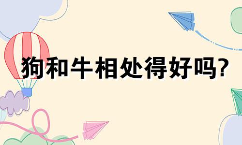 狗和牛相处得好吗?