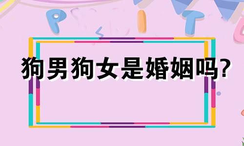 狗男狗女是婚姻吗?