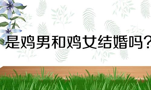 是鸡男和鸡女结婚吗?