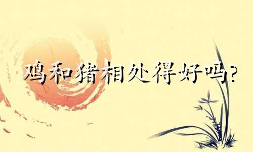 鸡和猪相处得好吗?