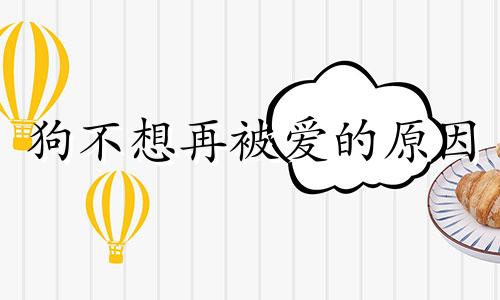 狗不想再被爱的原因