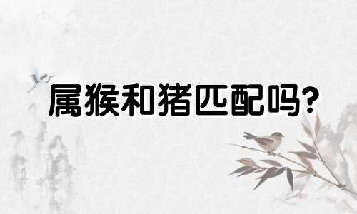 属猴和猪匹配吗?