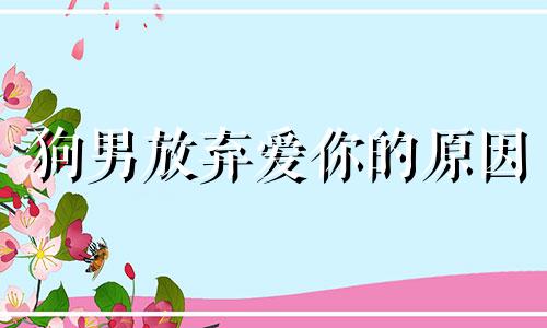 狗男放弃爱你的原因