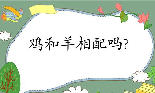 鸡和羊相配吗?