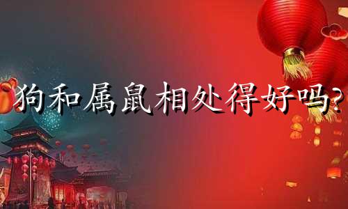 狗和属鼠相处得好吗?