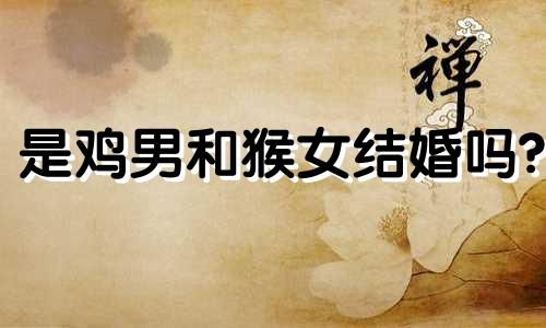 是鸡男和猴女结婚吗?