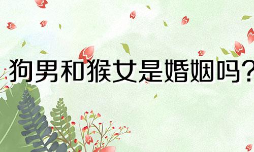 狗男和猴女是婚姻吗?