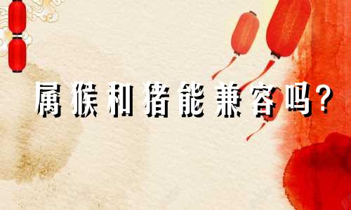 属猴和猪能兼容吗?