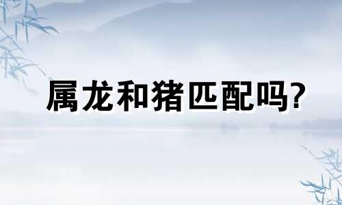 属龙和猪匹配吗?