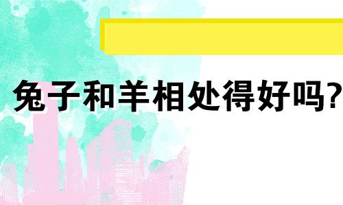 兔子和羊相处得好吗?