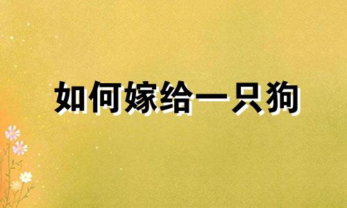 如何嫁给一只狗