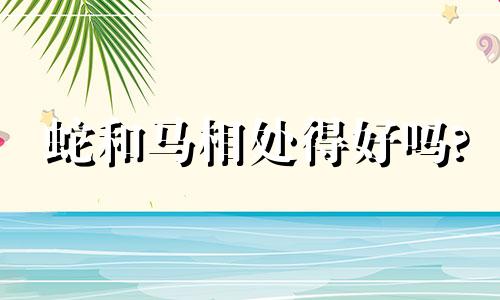 蛇和马相处得好吗?