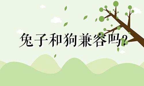 兔子和狗兼容吗?