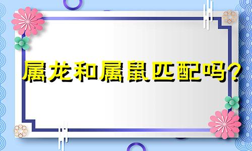 属龙和属鼠匹配吗?