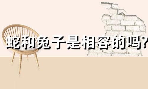 蛇和兔子是相容的吗?