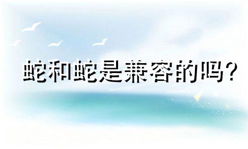 蛇和蛇是兼容的吗?