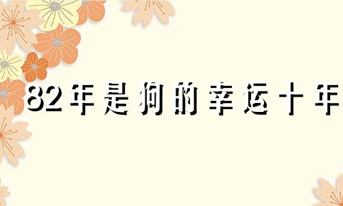 82年是狗的幸运十年