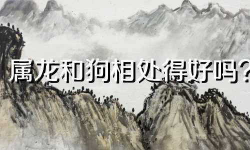 属龙和狗相处得好吗?