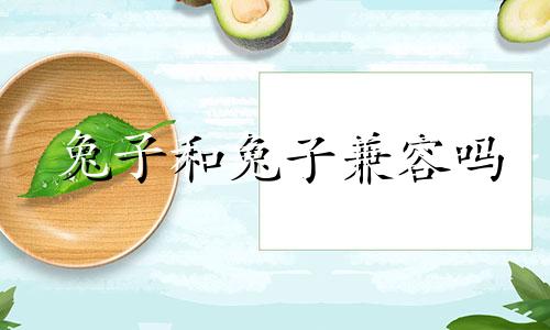 兔子和兔子兼容吗