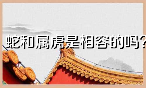 蛇和属虎是相容的吗?