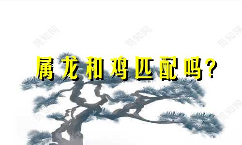 属龙和鸡匹配吗?