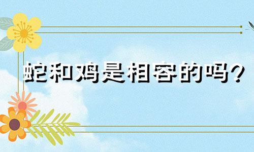 蛇和鸡是相容的吗?