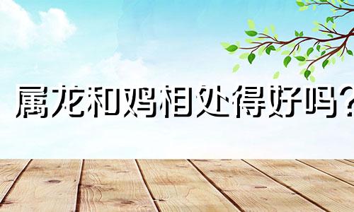 属龙和鸡相处得好吗?