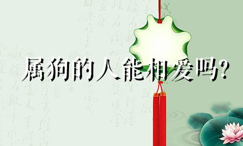 属狗的人能相爱吗?