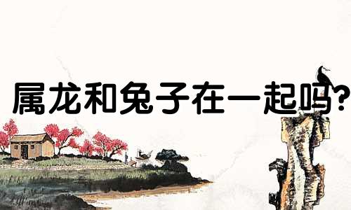 属龙和兔子在一起吗?