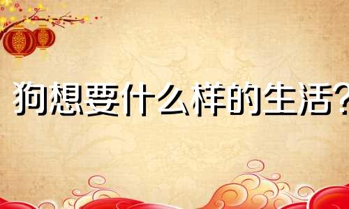 狗想要什么样的生活?
