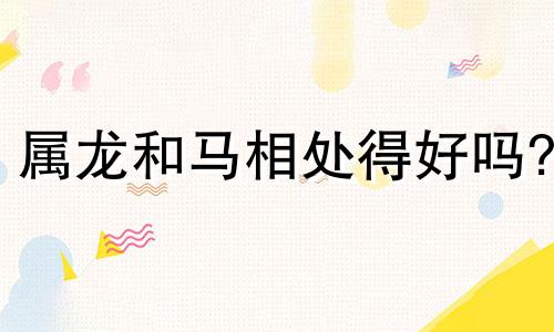 属龙和马相处得好吗?