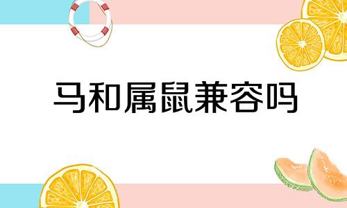 马和属鼠兼容吗