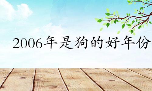 2006年是狗的好年份