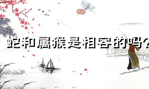 蛇和属猴是相容的吗?