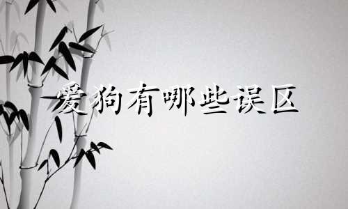 爱狗有哪些误区