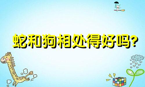 蛇和狗相处得好吗?