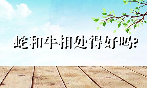 蛇和牛相处得好吗?