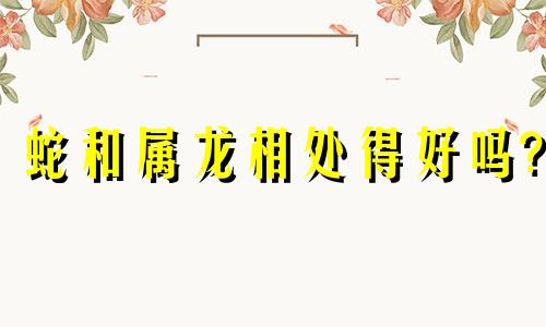 蛇和属龙相处得好吗?