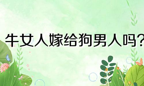 牛女人嫁给狗男人吗?